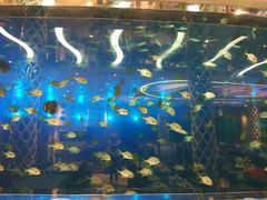 -瑞德姆美人鱼海底演艺主题餐厅(亚龙湾店)