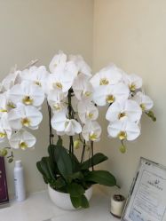 -海涛医疗美容·面部抗衰·注射美鼻