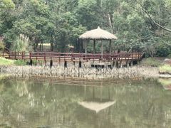 -上海滨江森林公园