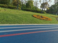 -贡湖湾湿地公园