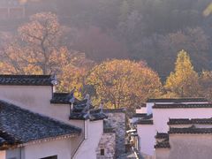 -塔川景区