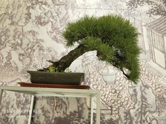 -稍可轩博物馆餐厅