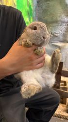 -Zoolung Zoolung动物主题公园(海信广场店)