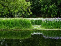 -上海共青森林公园