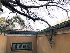 -普陀山慧济禅寺