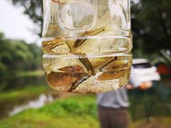 -永定河休闲森林公园