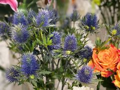 -Gigi Florist·Dk Coffee