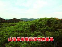 -江南天池