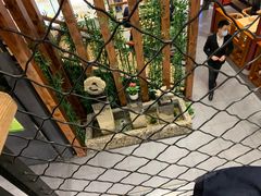 -老九圆山西面馆(CBD店)