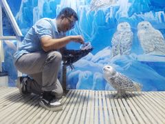 -成都浩海立方海洋公园