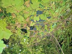 -聚友缘美食农庄