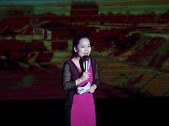 -陕北民歌大舞台