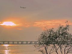 -宝安西湾红树林湿地公园