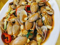 炒花甲-黎记大排档(慈云路店)
