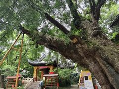 -无锡惠山寺