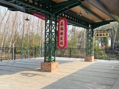-合肥滨湖国家森林公园