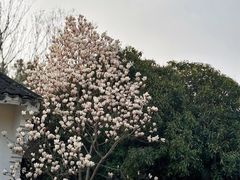 -梁鸿国家湿地公园