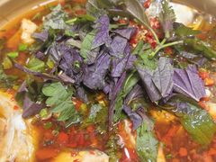-笨罗卜浏阳菜馆(龙华鹏润达店)