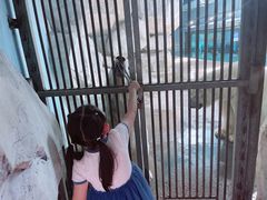 -泉城欧乐堡海洋极地世界