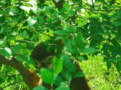 -青藏高原野生动物园