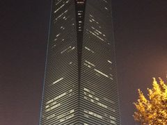-上海柏悦酒店