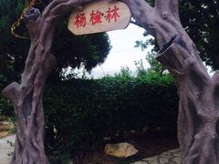 狐尾山公园-狐尾山公园