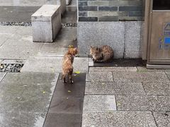 -荔湾湖公园