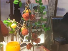 -新辣道鱼火锅(西直门店)