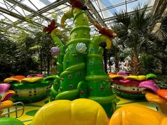 -南宫五洲植物乐园