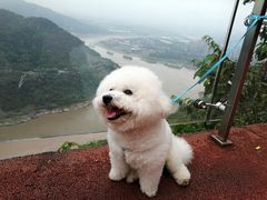 -铁山坪森林公园