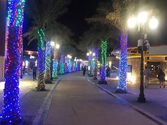 -瑰丽酒店·海吧·天际下午茶·现场DJ·天台酒吧