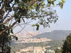 -梧桐山风景名胜区