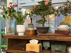 -芙蕾哥哥souffle