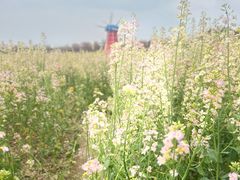 -武汉紫薇都市田园