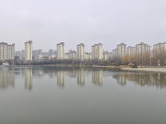 -雪枫公园