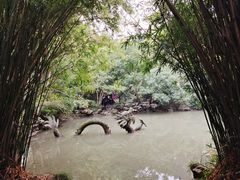 -汇龙潭