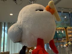 -猫的天空之城概念书店(北戴河蔚蓝海岸店)