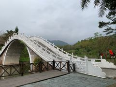 -田野绿世界