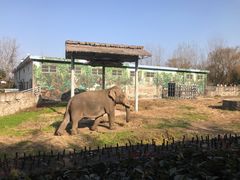 -西安秦岭野生动物园