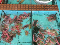 -景好海鲜餐厅(大鹏必选旅游店)