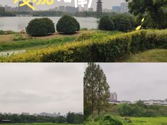 -洋湖国家湿地公园