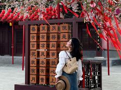 -祥源·阜阳生态乐园