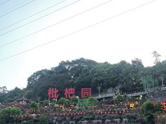 -枇杷园食为鲜火锅(南山店)