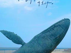 -烟台金沙滩海滨公园