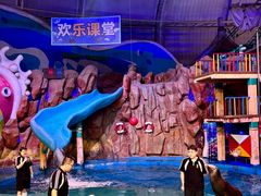 -烟台海昌鲸鲨海洋公园