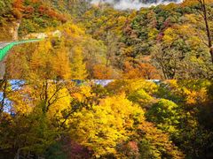 -光雾山旅游景区
