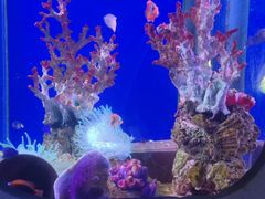 -海合安武汉极地海洋公园