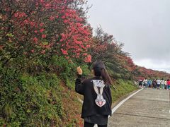 -永州阳明山国家森林公园