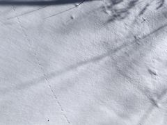 -峡谷浮石林景区