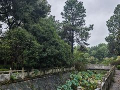 -开福禅寺